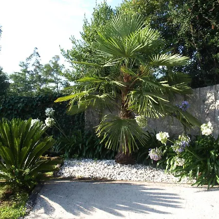 A Casina Sotolobre
